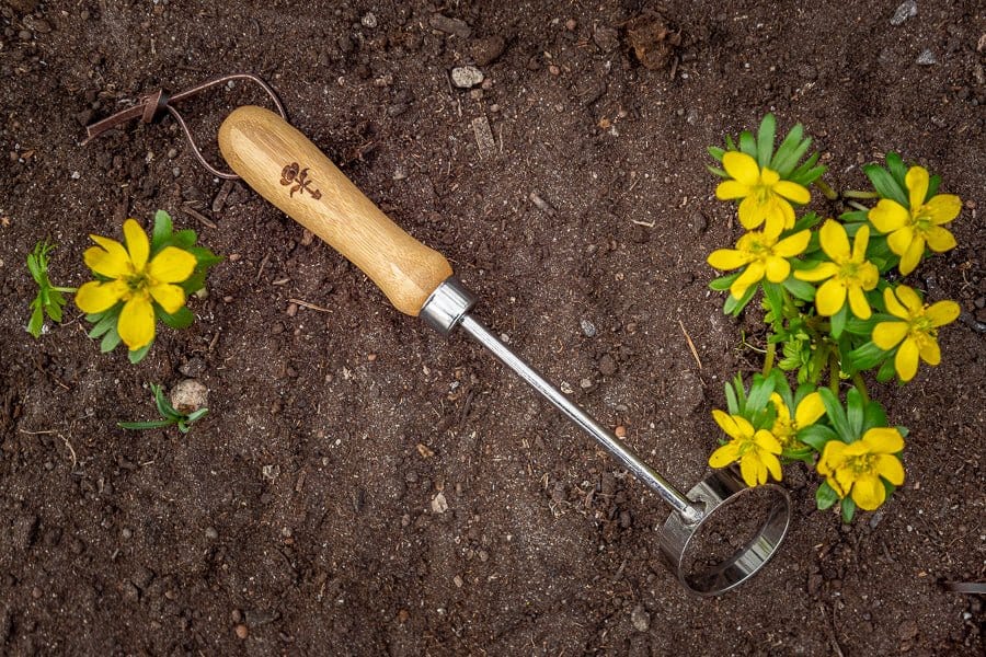 BAMBUS' cirkulära hackar - Blomsterverden